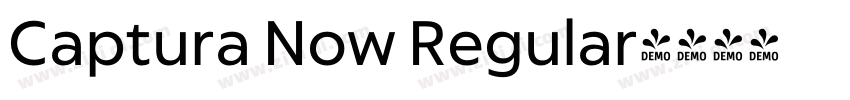 Captura Now Regular字体转换